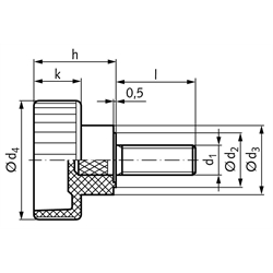 Rändelhohlschraube 421 M6 x 20mm lang Gewindestift Stahl verzinkt , Technische Zeichnung