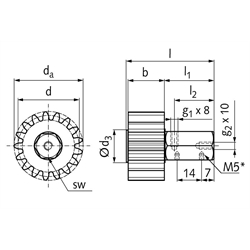 PU-Schmierzahnrad Modul 10 17 Zähne geradverzahnt Schmieranschluss radial, Technische Zeichnung