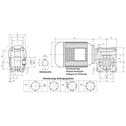 Schneckengetriebemotor HMD/II Grundausführung Getriebegröße 045 n2=19,6 /min 0,09kW 230/400V 50Hz IE1 Abtrieb Hohlwelle (Betriebsanleitung im Internet unter www.maedler.de im Bereich Downloads), Technische Zeichnung