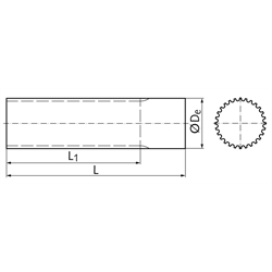 Zahnwelle HTD Profil 5M 112 Zähne Länge 200mm Material Stahl, Technische Zeichnung