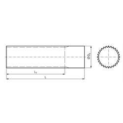 Zahnwelle Profil T10 40 Zähne Länge 160mm Material Aluminium , Technische Zeichnung